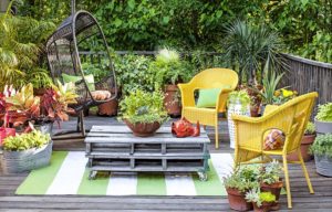How to Beautify Your Garden on a Budget