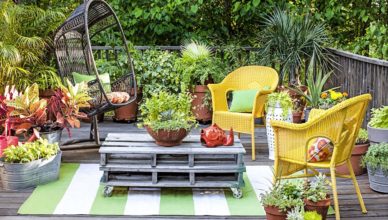 How to Beautify Your Garden on a Budget