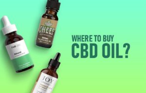 Check Out These Most CBD-Infused Products You Can Try