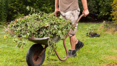 Dealing With Waste Disposal During The COVID19 Pandemic