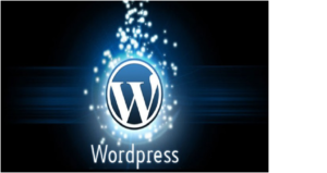 Ecommerce Website Development Make Your Business