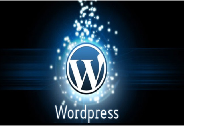 Ecommerce Website Development Make Your Business