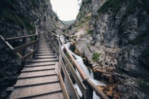 Essential Surviving Skills for the Retail Traders