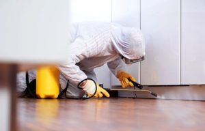 Pest Control Company