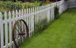 Backyard Fence