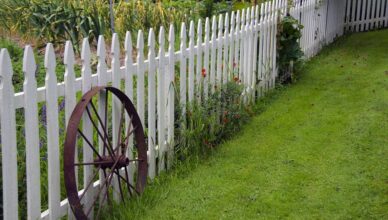 Backyard Fence