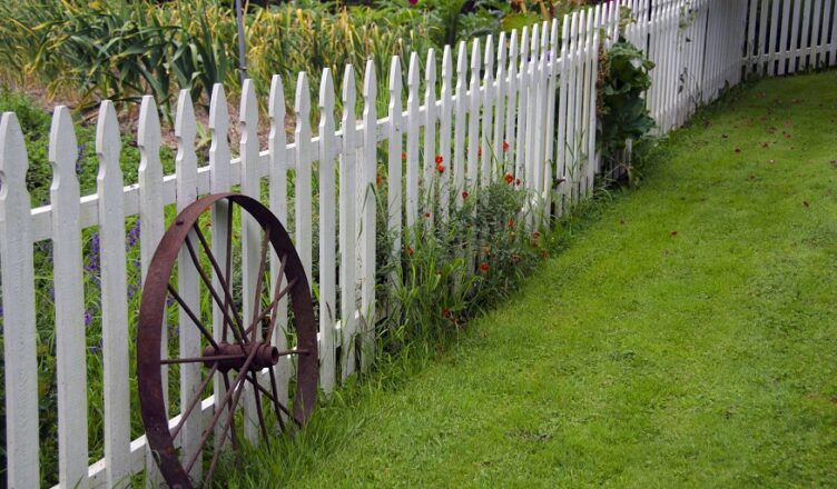 Backyard Fence