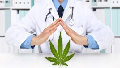 hands doctor with marijuana medical cannabis icon