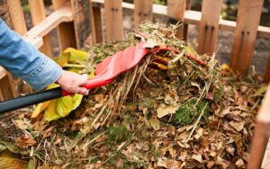 Caring for Your Garden Trees